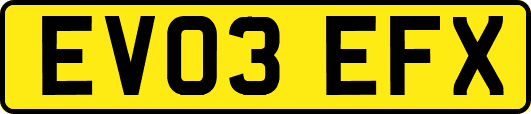 EV03EFX