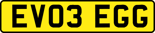 EV03EGG