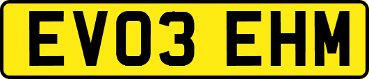 EV03EHM