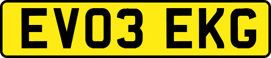 EV03EKG