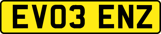 EV03ENZ