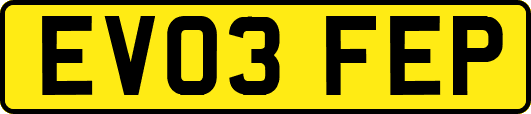 EV03FEP