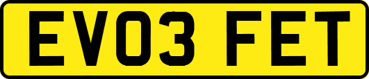 EV03FET