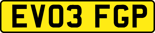 EV03FGP