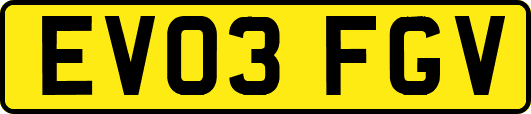 EV03FGV