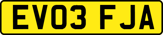 EV03FJA