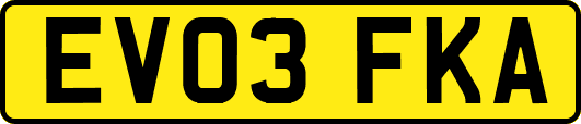 EV03FKA