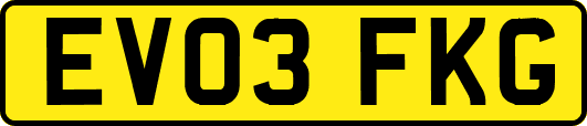 EV03FKG