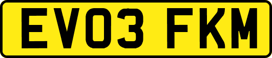 EV03FKM