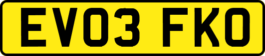 EV03FKO