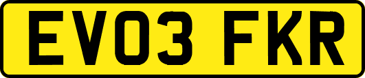 EV03FKR