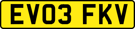 EV03FKV