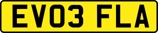EV03FLA