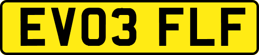 EV03FLF