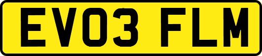EV03FLM