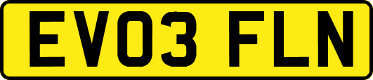 EV03FLN