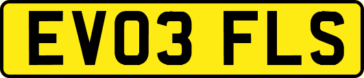 EV03FLS