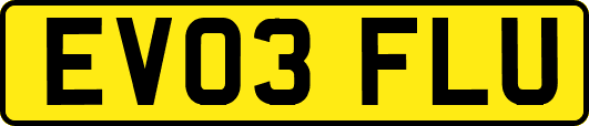 EV03FLU