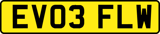 EV03FLW