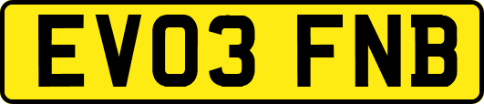 EV03FNB