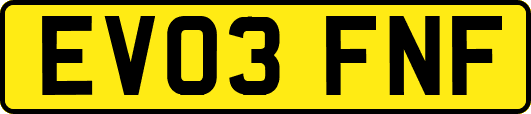 EV03FNF
