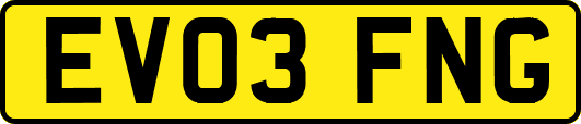 EV03FNG