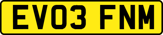 EV03FNM