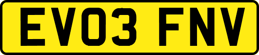 EV03FNV