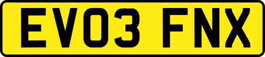 EV03FNX