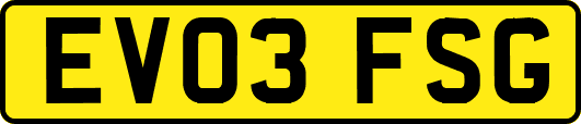 EV03FSG