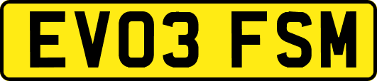 EV03FSM