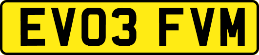 EV03FVM