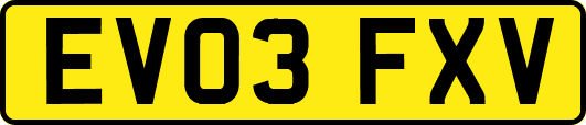 EV03FXV