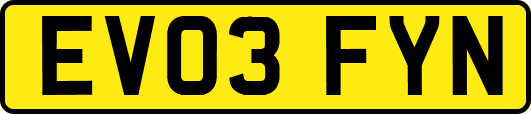 EV03FYN