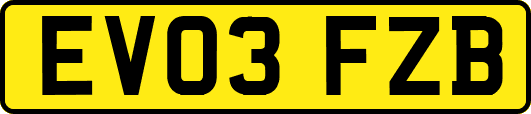EV03FZB