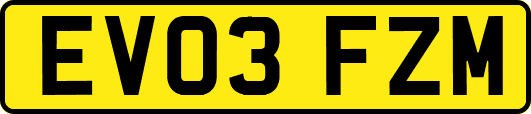 EV03FZM