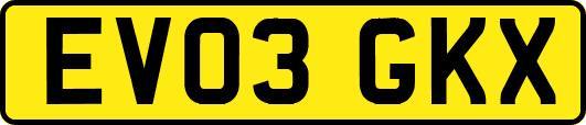 EV03GKX