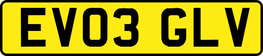 EV03GLV