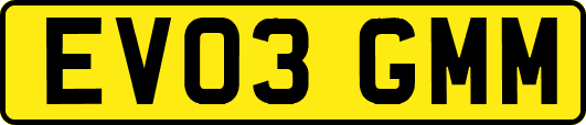 EV03GMM