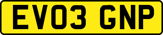 EV03GNP