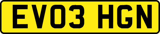EV03HGN