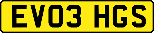 EV03HGS