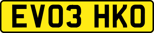 EV03HKO