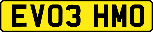 EV03HMO