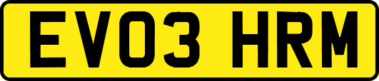 EV03HRM