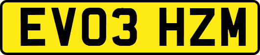 EV03HZM