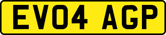 EV04AGP