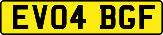 EV04BGF