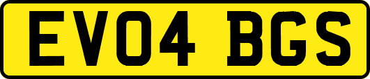 EV04BGS