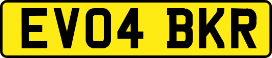 EV04BKR